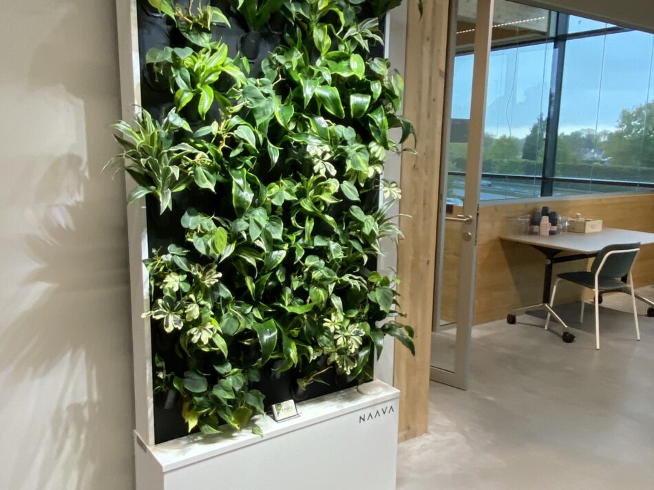 slimme groene wand houtlab